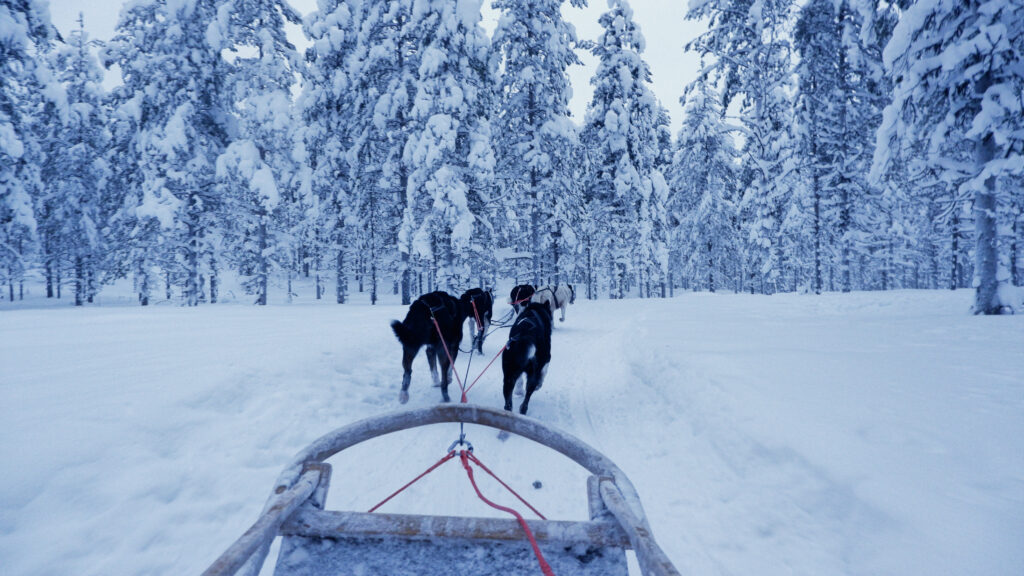 Huskysafari Fins Lapland Äkäslompolo