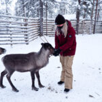 Rendierboederij Fins Lapland Äkäslompolo